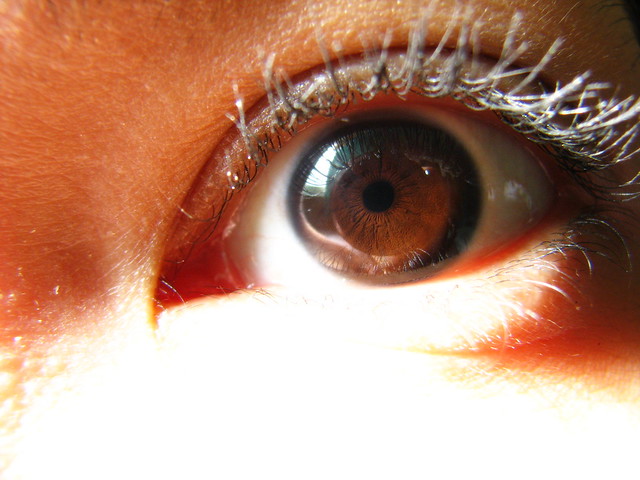 My Dark Brown Eye (Left) Flickr Photo Sharing!