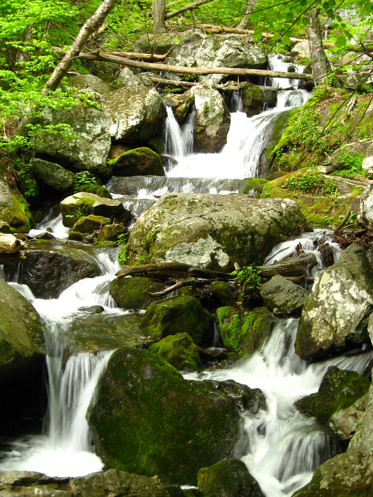Elevation of Roseland, VA, USA Topographic Map Altitude Map