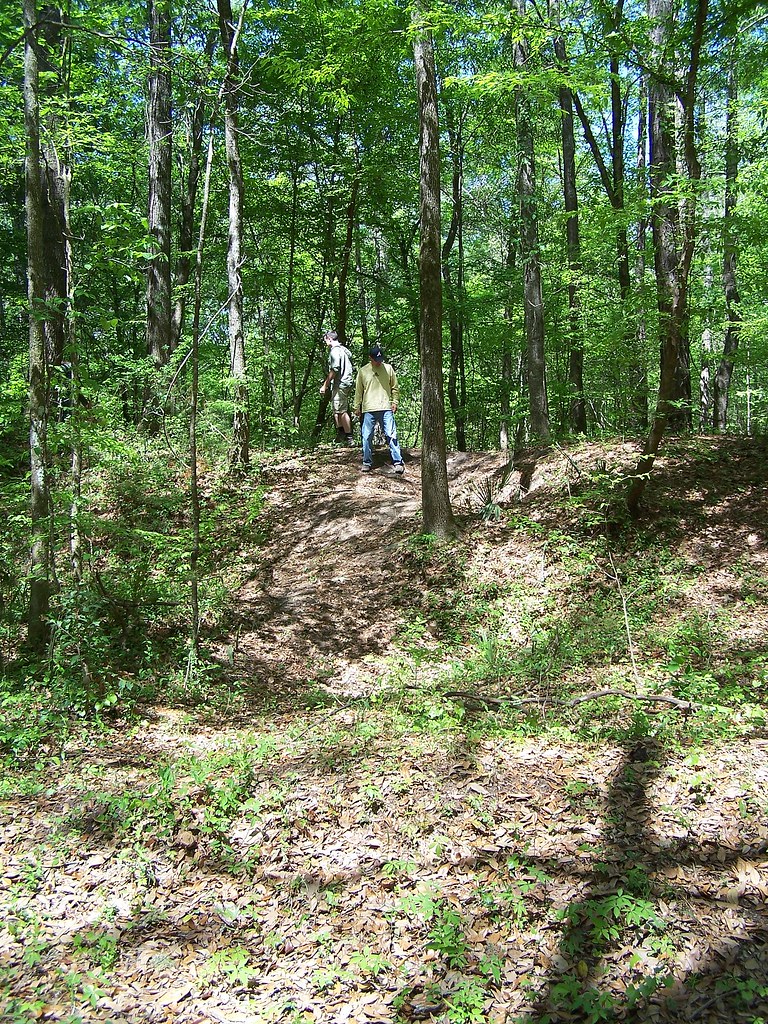 Elevation of Jacksonboro, SC, USA Topographic Map Altitude Map