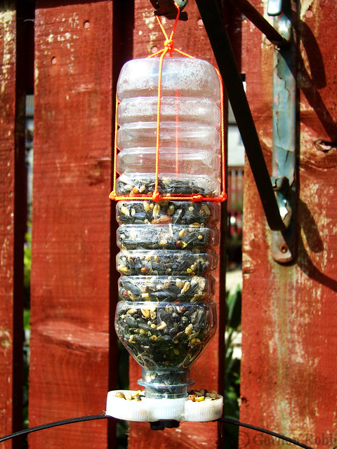 Bottle Bird Feeder - Bird FeedersBird Feeders