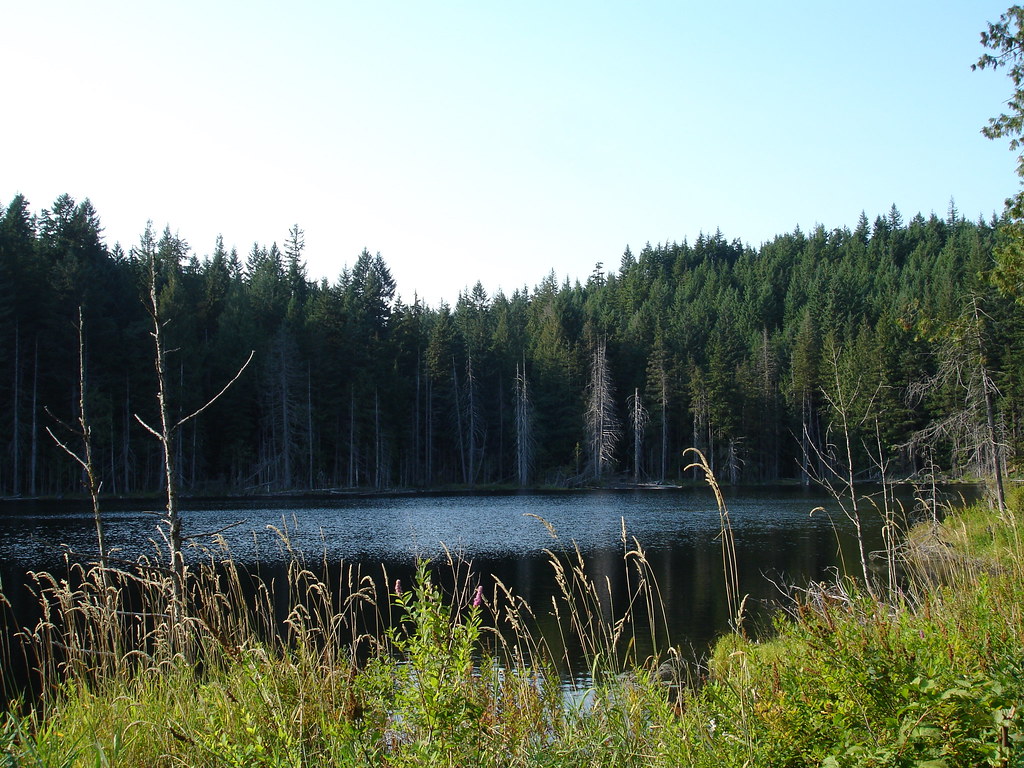 Weaver Lake British Columbia Around Guides