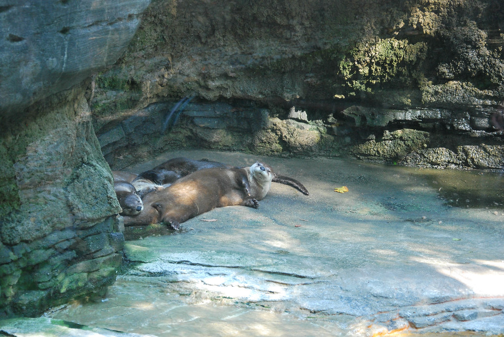 French Creek Game Farm Map West Virginia Mapcarta