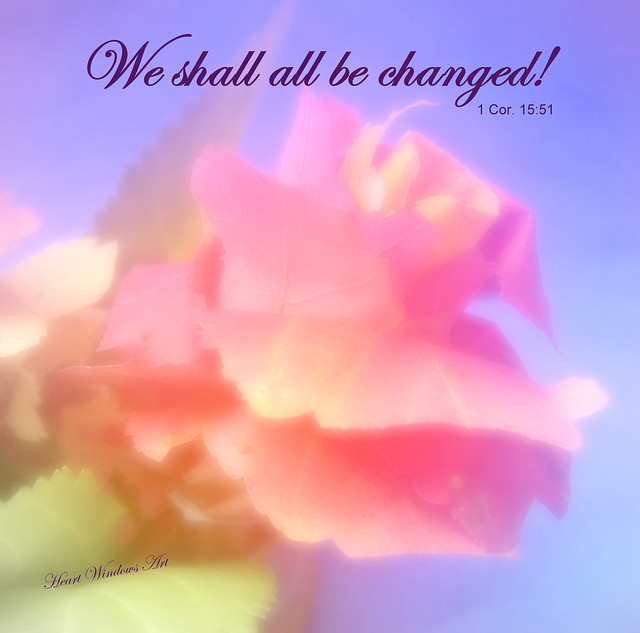 We shall all be changed! Flickr Photo Sharing!
