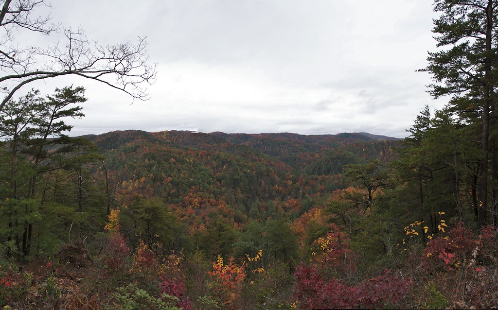 Elevation of Camp McCall Road, Camp McCall Rd, Bostic, NC, USA
