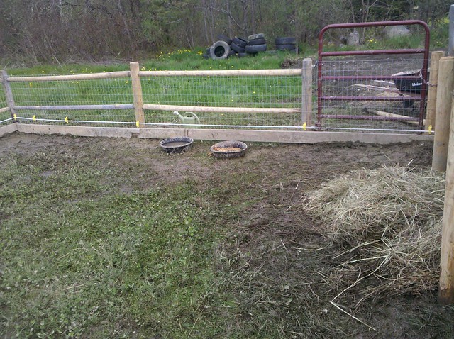 Diy Solar Electric Fence For Pigs