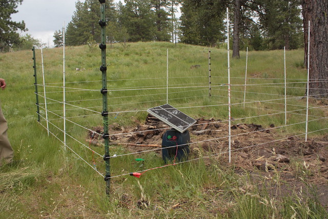 Electric Fencing Solar Powered Flickr Photo Sharing!