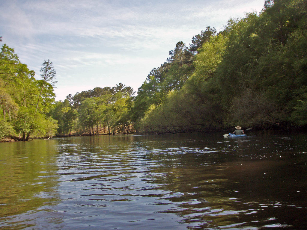 Elevation of Reevesville, SC, USA Topographic Map Altitude Map