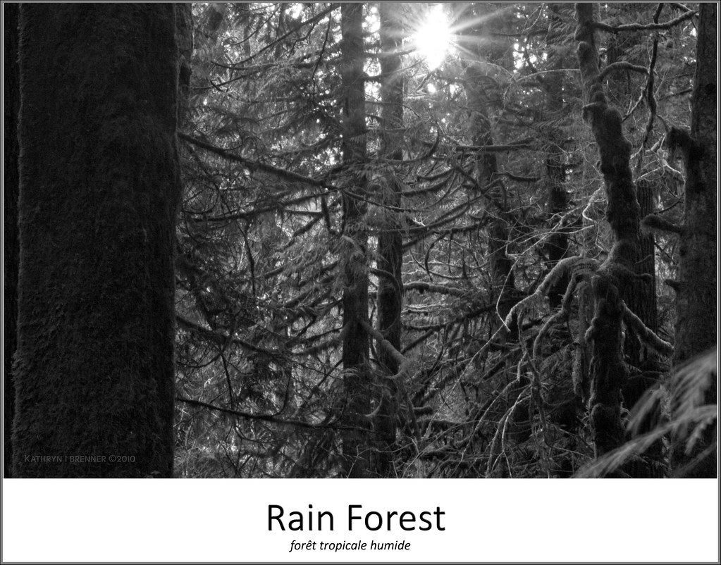 Elevation of 10 Nicholson Rd 10, Ethel, WA, USA Topographic Map