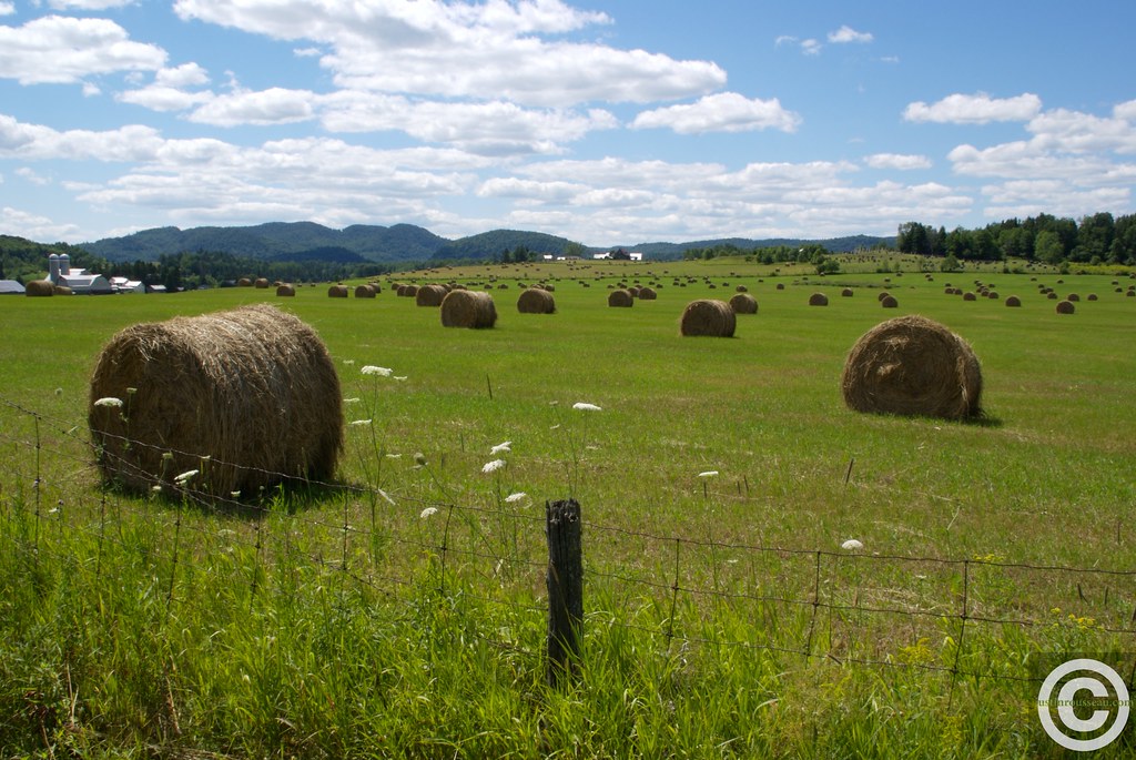 Elevation of Chemin de la Rivière Rouge, Harrington, QC J8G 2S7, Canada