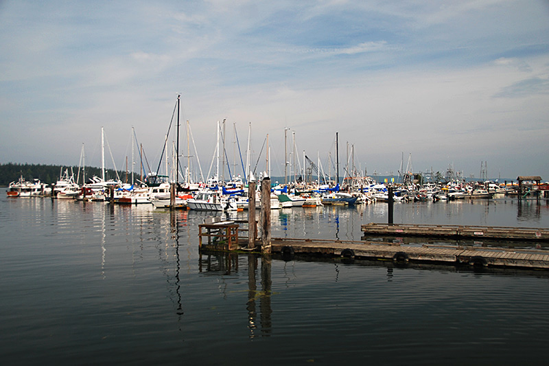 Port McNeill Vancouver Island News, Events, Travel,