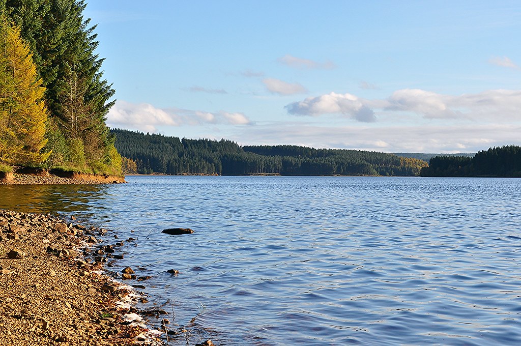 Kielder Forest a fabulous place for some family cycling fun