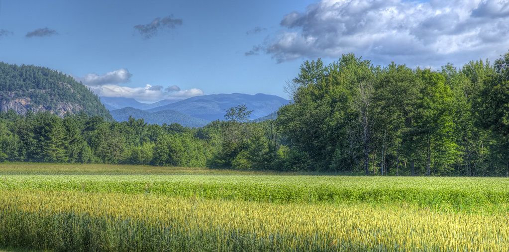 Elevation of Bartlett, NH, USA Topographic Map Altitude Map