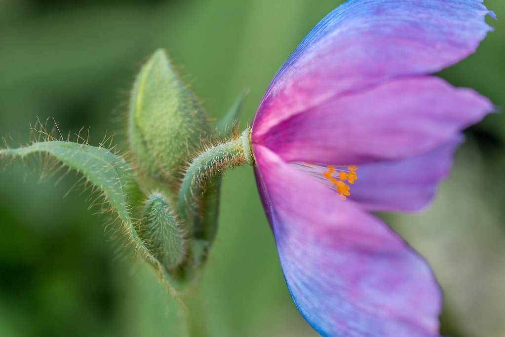 Elevation of 5 Gouge Blvd, West Grove, PA, USA Topographic Map
