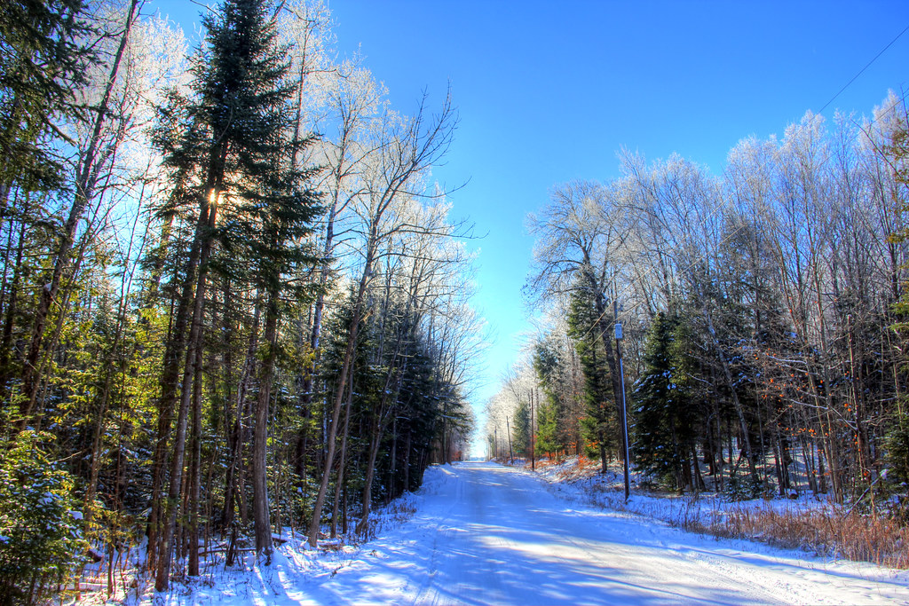 Elevation of Chippewa Beach Rd, Indian River, MI, USA Topographic Map