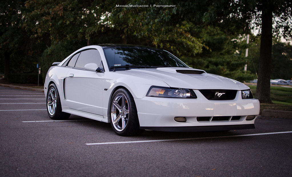 FS 2001 Oxford White Mustang GT