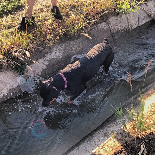 Elevation of Wheatland, WY, USA Topographic Map Altitude Map