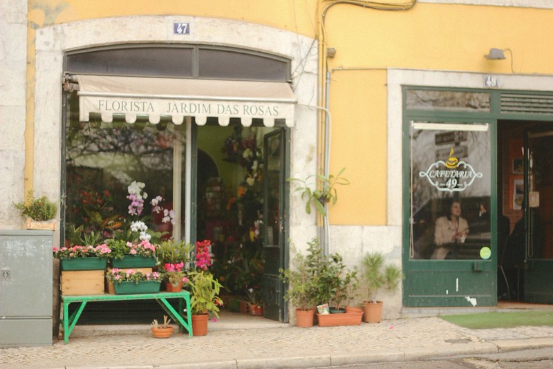 earworm and plum pudding Lisbon Day 1 falling in love, tropical