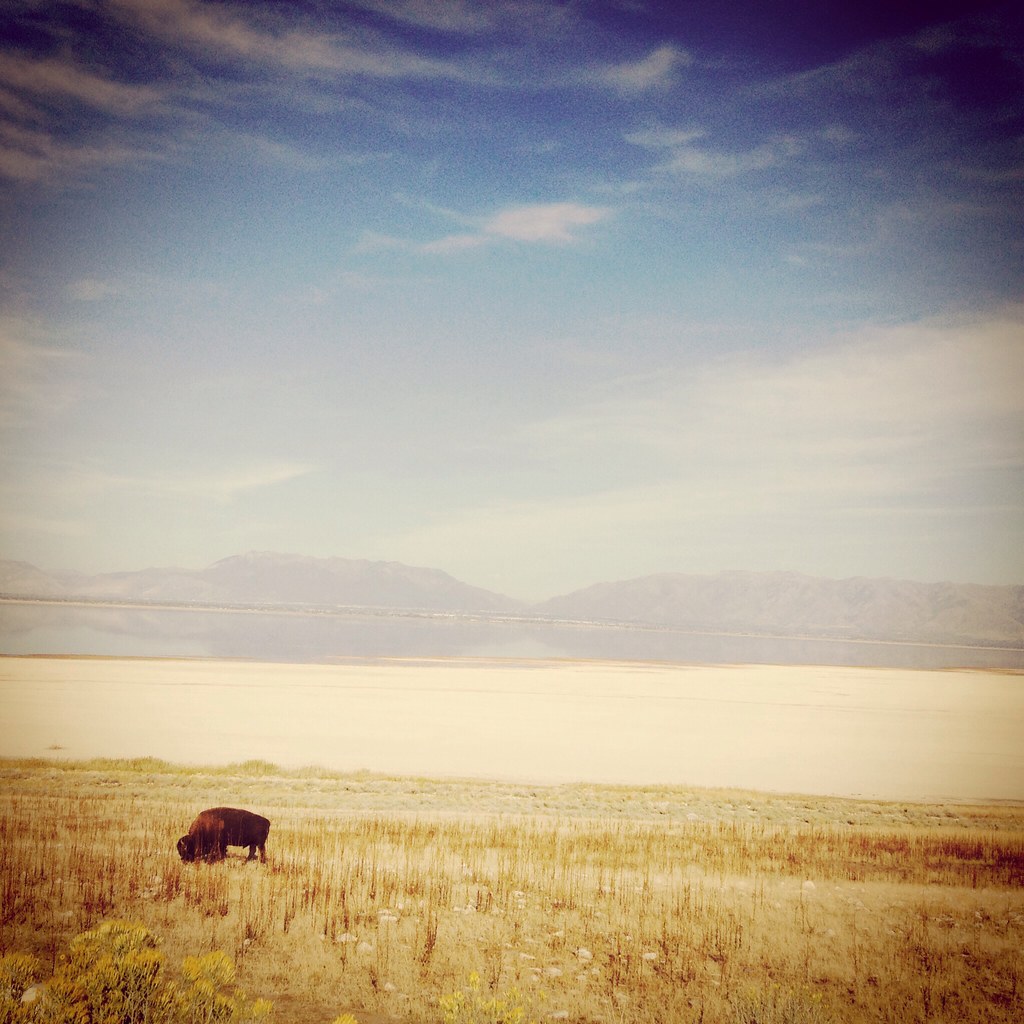 Elevation of Syracuse, UT, USA Topographic Map Altitude Map