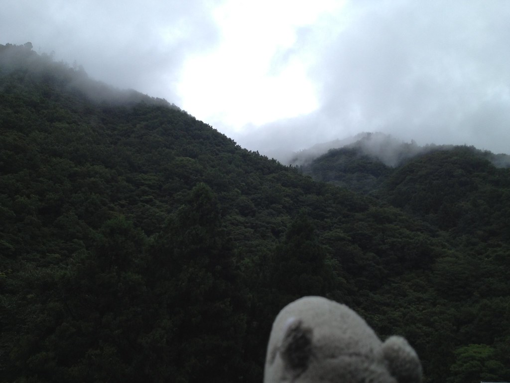 Elevation of Fujinouchi18 Masaki, Kamikatsuchō, Katsuuragun