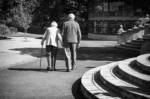 Garden stroll by mjm_nz