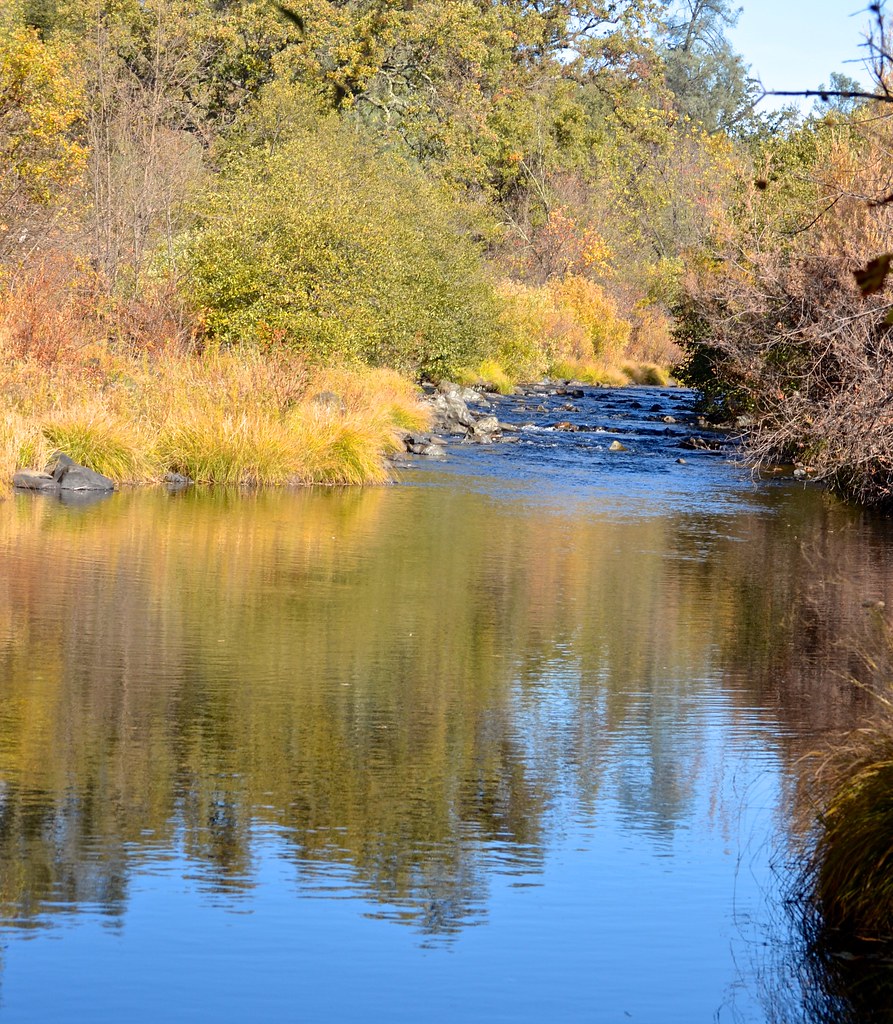 Elevation of Colony Rd, Wilton, CA, USA Topographic Map Altitude Map