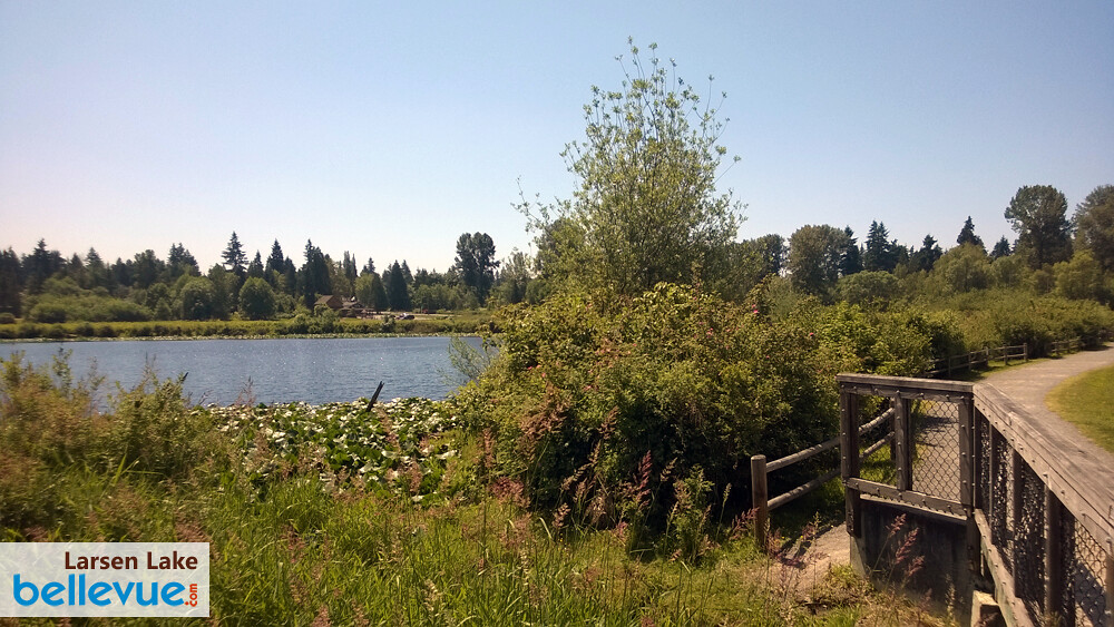 Larsen Lake Blueberry Farm Bellevue Attractions, Events & Happenings