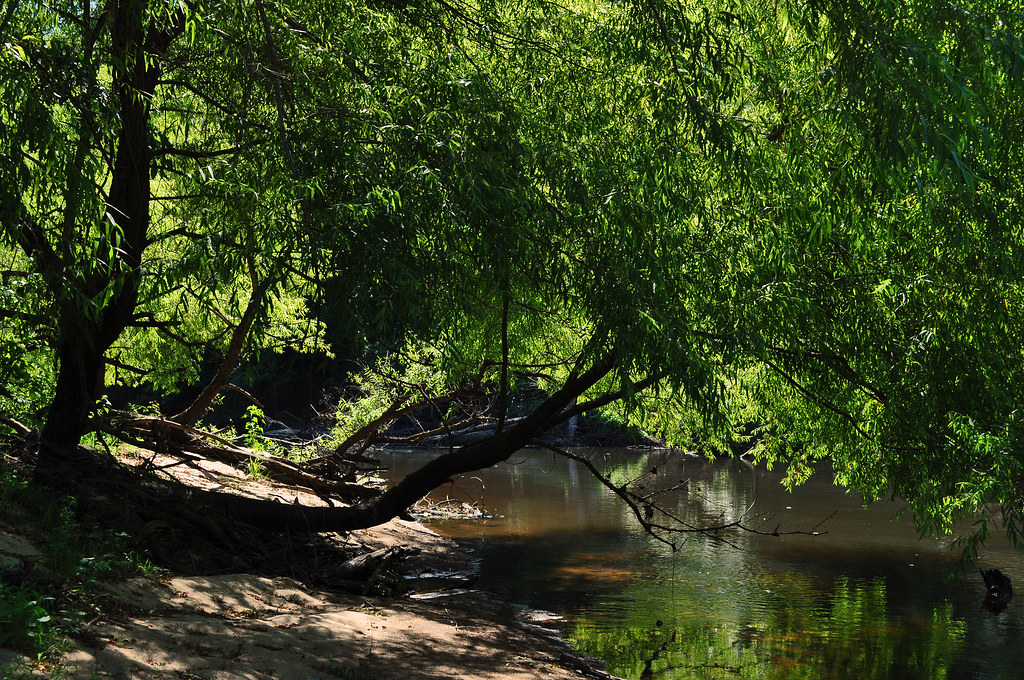 Elevation of Drewryville, VA, USA Topographic Map Altitude Map