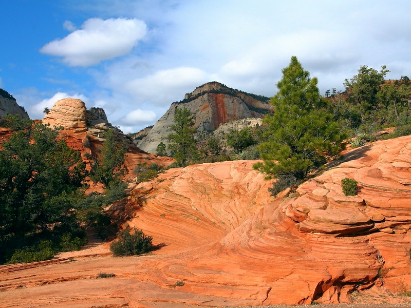 Thor's Hammer Zion National Park (33)