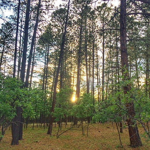 Elevation of Los Ojos, NM, USA Topographic Map Altitude Map