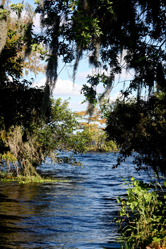 Blue Cypress Lake Map Florida Mapcarta