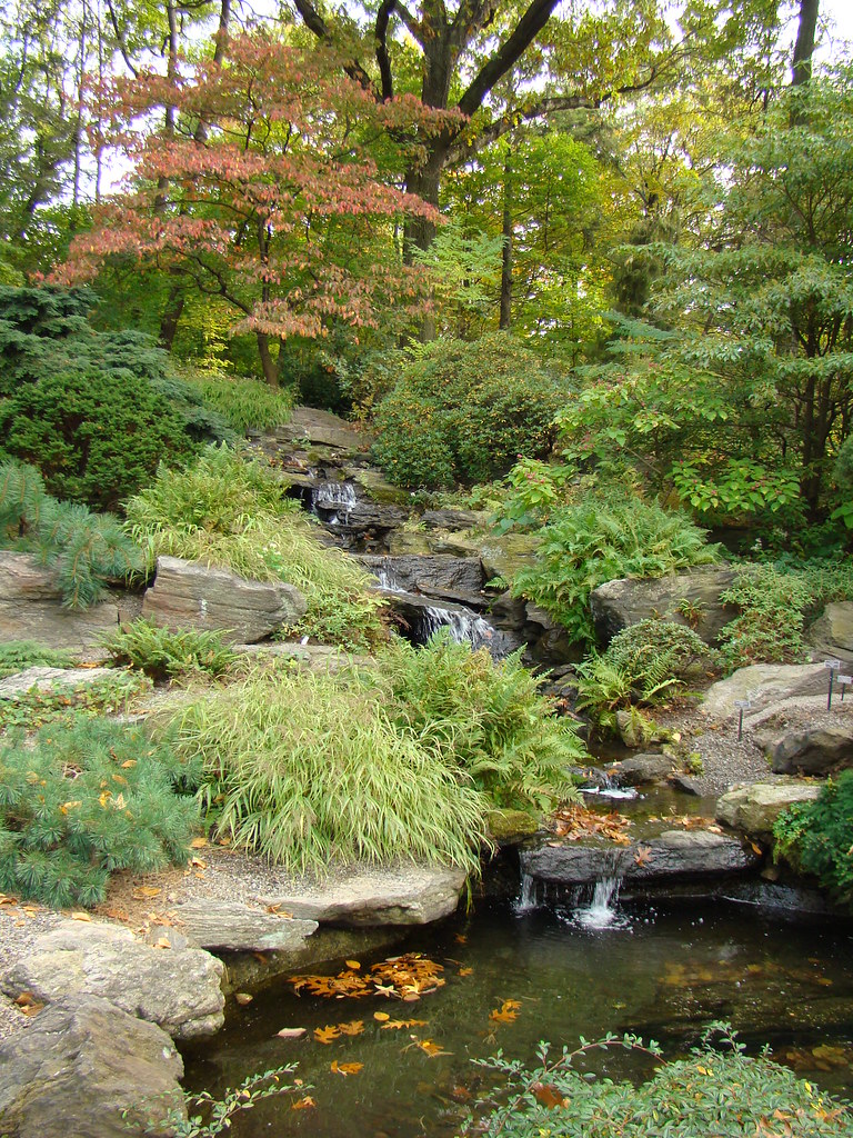 Simple Rock Garden Ideas Photograph Rock Garden Design Ima