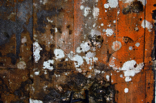 Patterns of dereliction