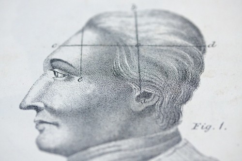 phrenology08