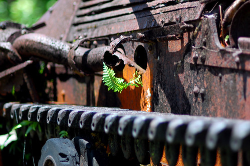 Nature will find a way