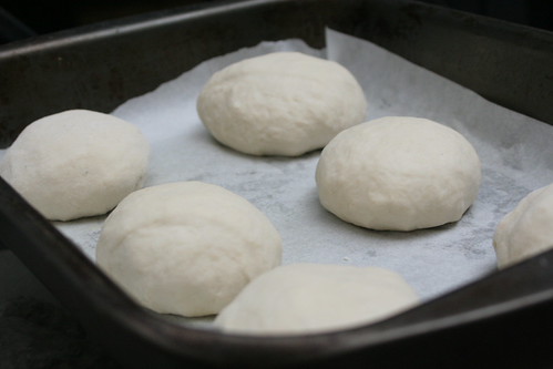 dough resting