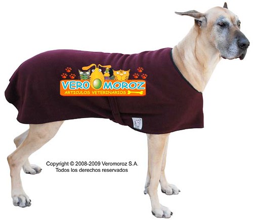 Curso fabrica ropa para perros.