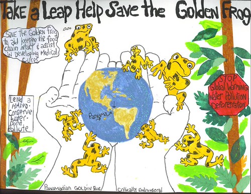 Credits Endangered Animals