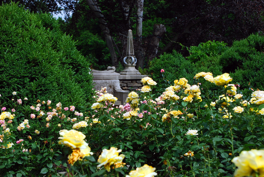 Washington, DC's best park you've never heard of Dumbarton Oaks