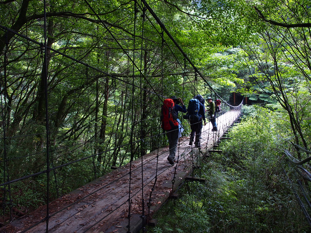 凡所有相，皆是虛妄 [登山] 2014.6.2122 能高越嶺道西段登奇萊南峰、南華山 D1