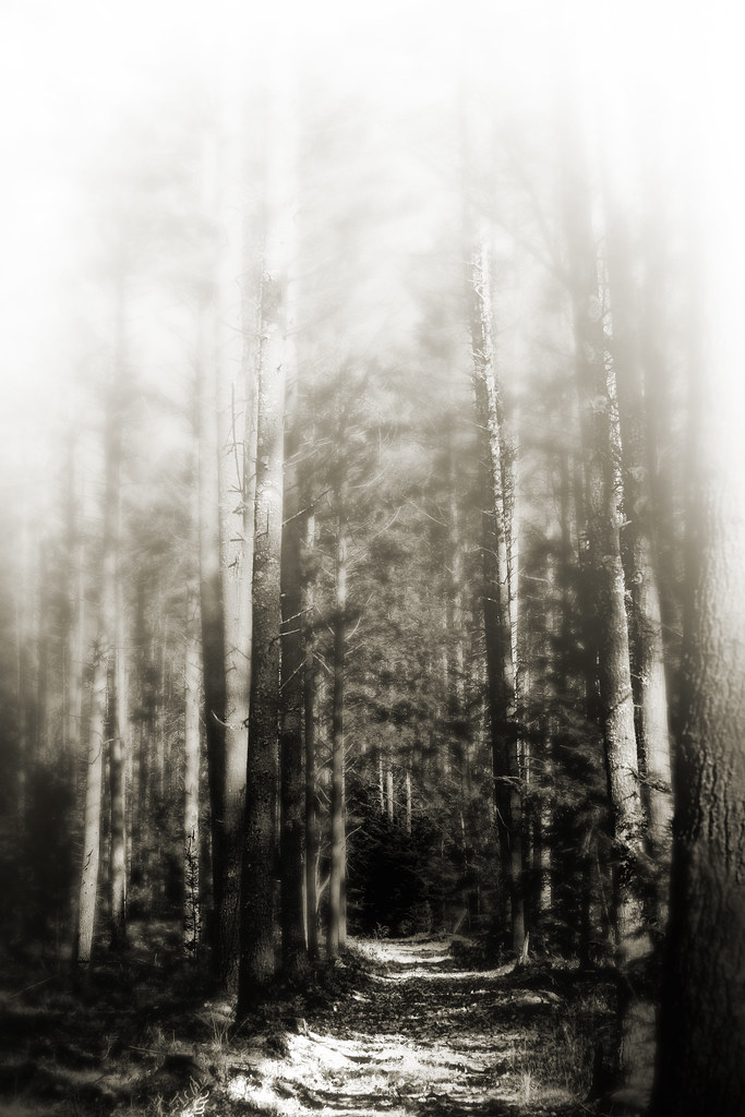 Elevation of Ashby, MA, USA Topographic Map Altitude Map