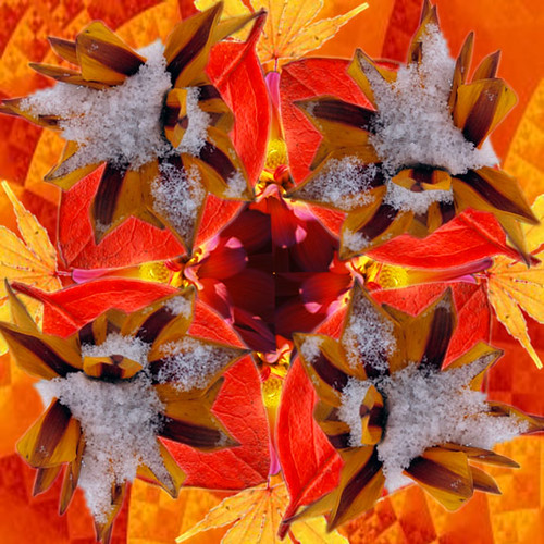 Radial Balance Flower