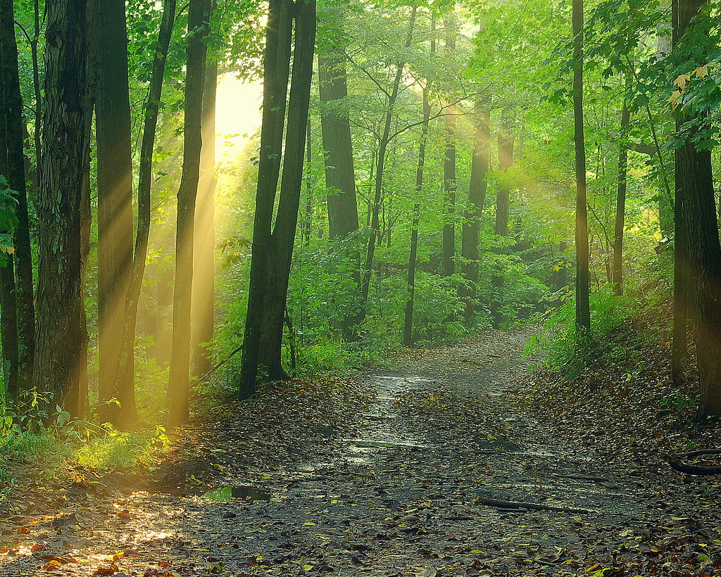 Elevation of Eau Claire, PA, USA Topographic Map Altitude Map