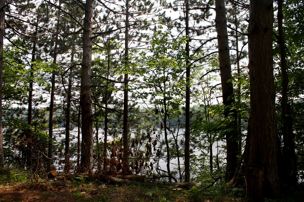 Elevation of 35 Catherine St, Star Lake, NY, USA Topographic Map