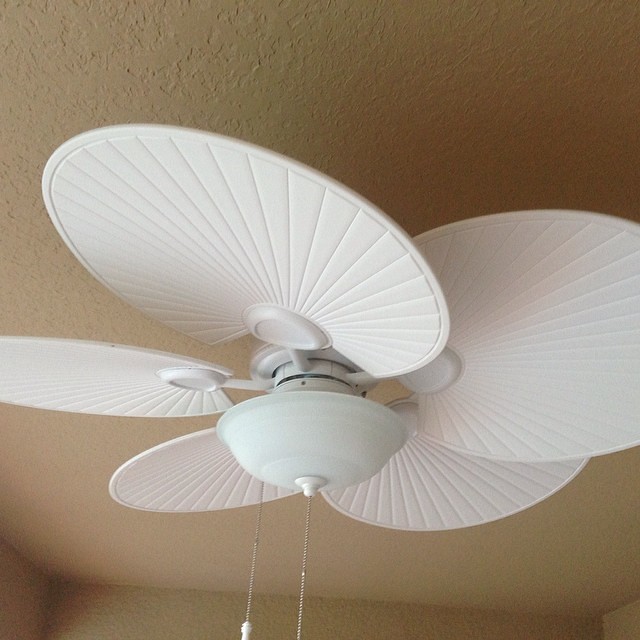 New ceiling fan installed! justplumcrazy