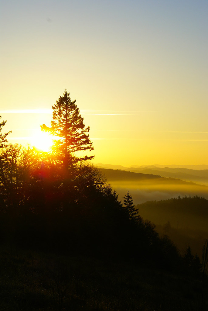 Eugene, OR, USA Sunrise Sunset Times