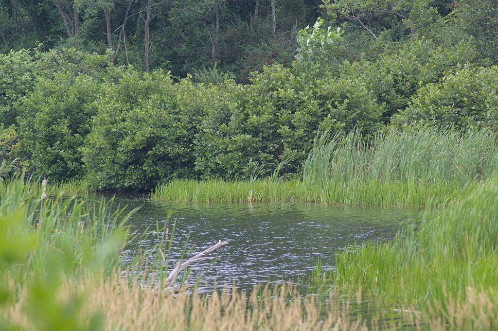 Lake Gordon Dam Map Pennsylvania Mapcarta