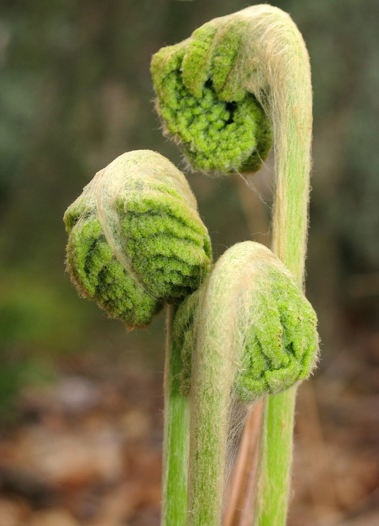 Lake Panamoka Map Suffolk County, New York Mapcarta