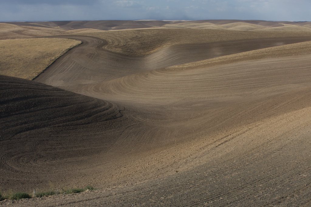 Elevation of LaCrosse, WA, USA Topographic Map Altitude Map