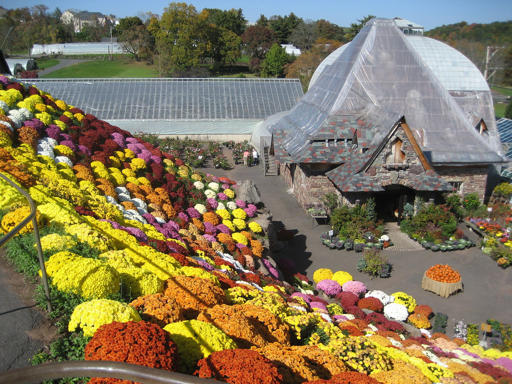 You Ott to Know About Ott’s Exotic Plants! Retro Roadmap