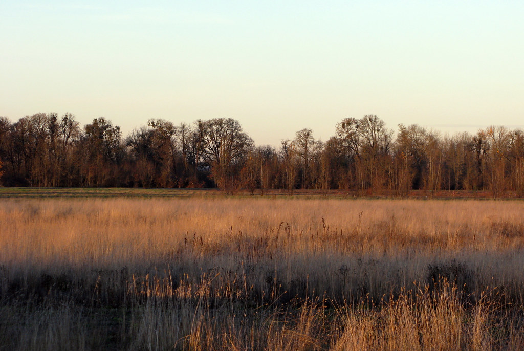 Elevation of OR, USA Topographic Map Altitude Map
